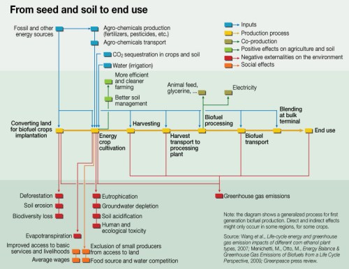 System diagram from seed to end use (Image credit: 
