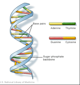 Screen Shot 2013-09-24 at 3.03.20 PM