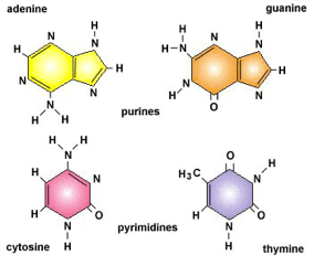 Screen Shot 2013-09-24 at 3.03.33 PM