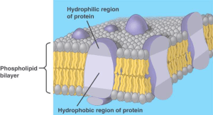 Screen Shot 2013-09-24 at 3.03.49 PM