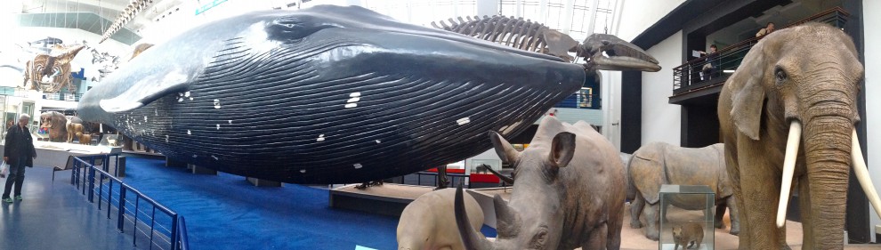 Evolution hall, London Science Museum, England.