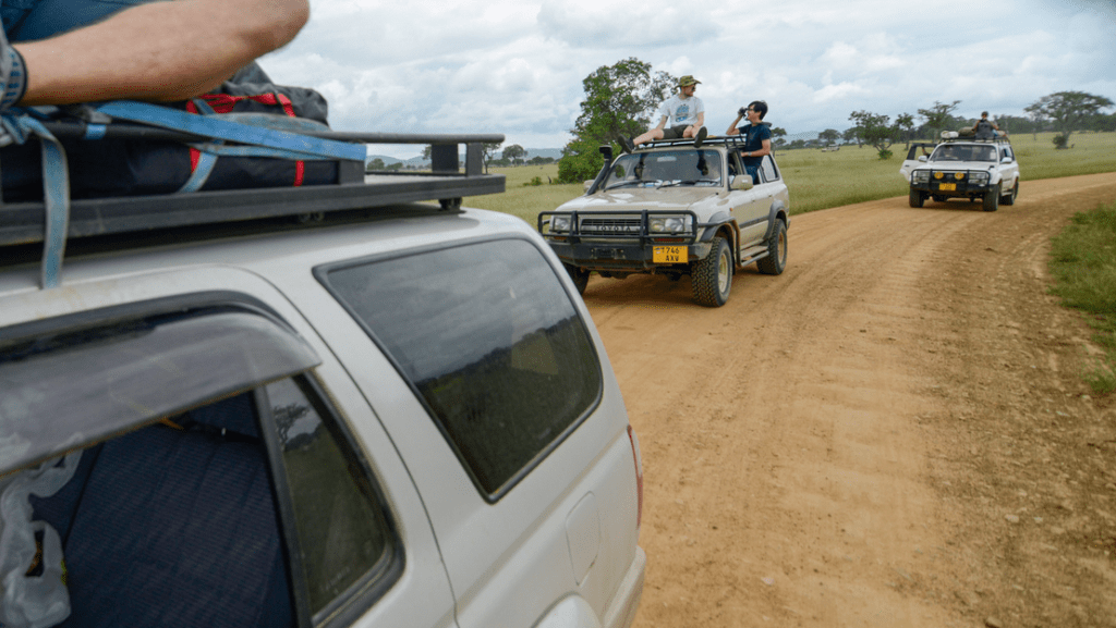 Mikumi National Park, Tanzania. May 2015
