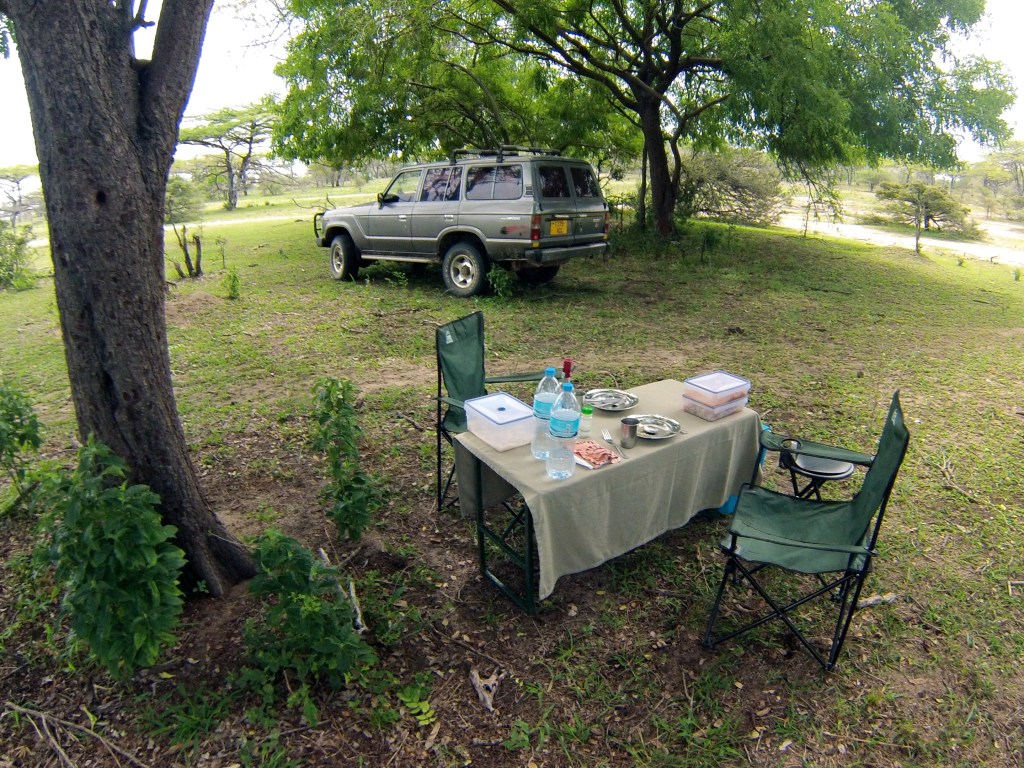 Bush picnic, Selous Game Reserve, Tanzania. 2013