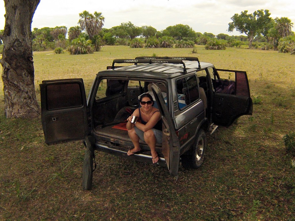 Pit stop, Selous Game Reserve, Tanzania. 2013