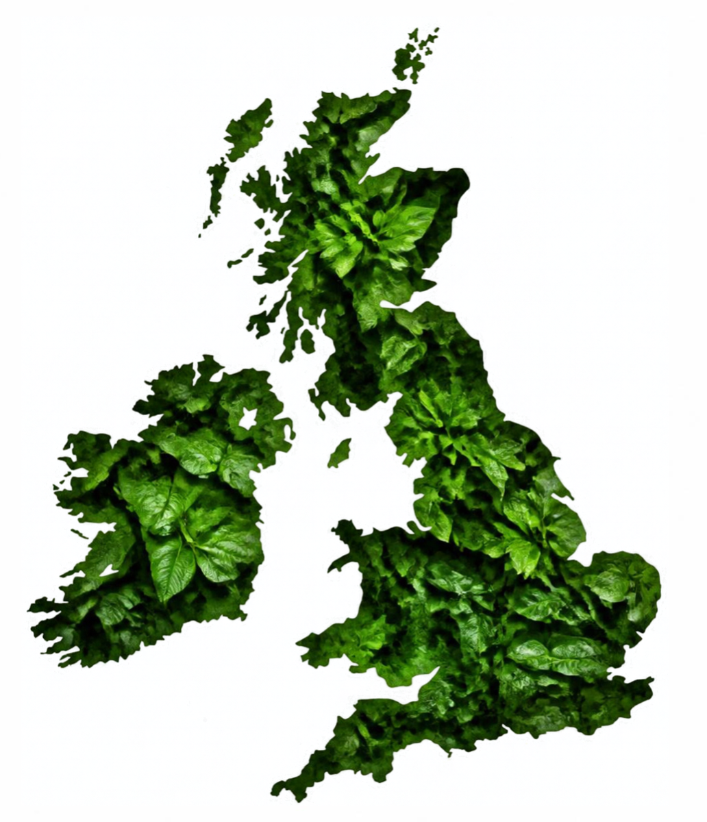 Map of the UK with a leafy background