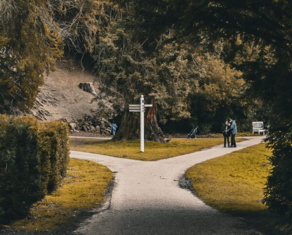 A concrete path through a green park forks in front of a white signpost, backed by a large tree.